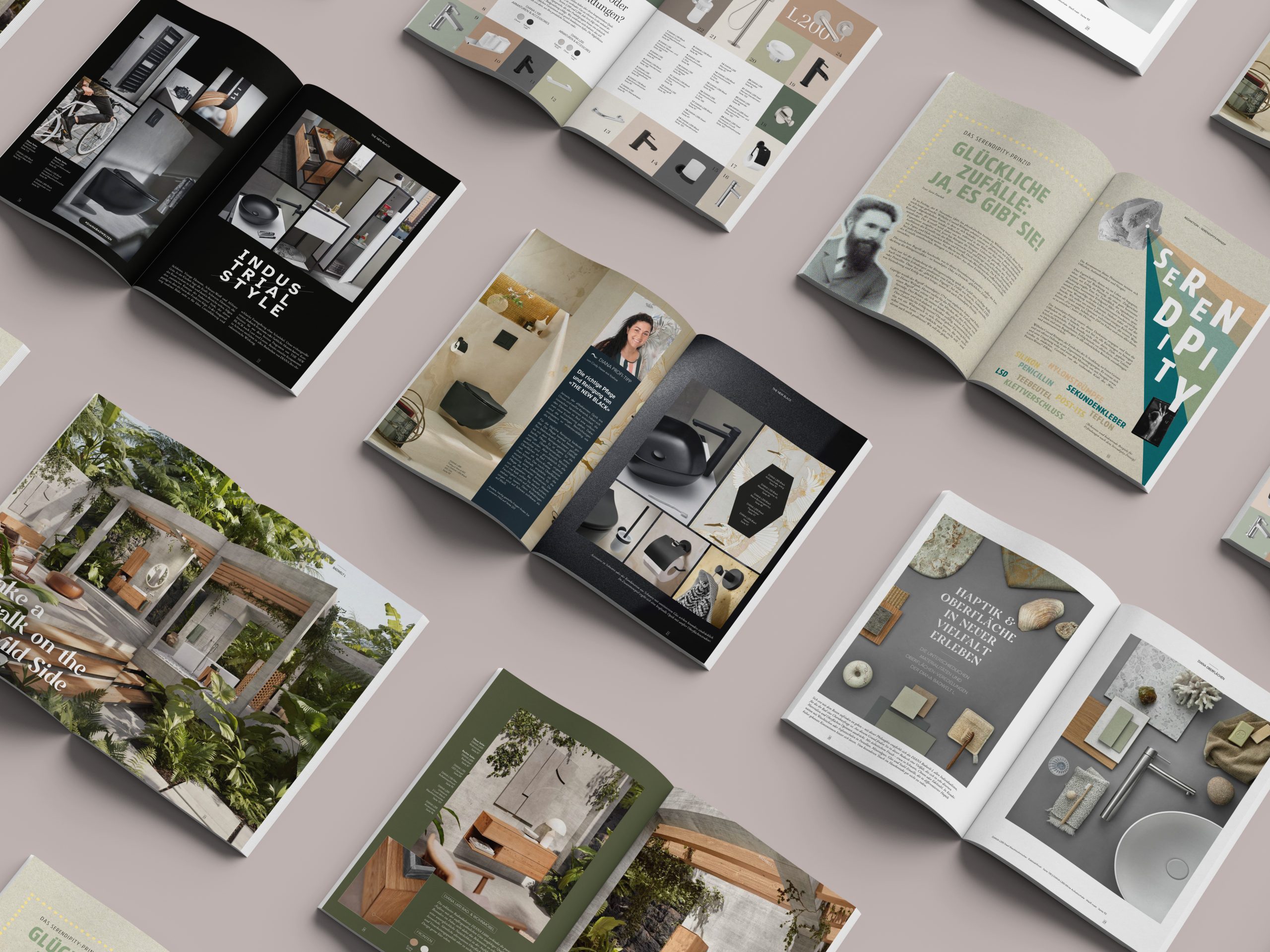 Offene Magazine mit Pflanzen und Steinen auf hellem Untergrund.